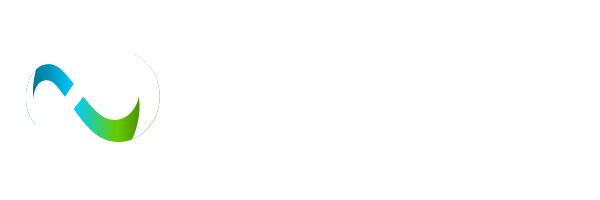 Selfsys Logo